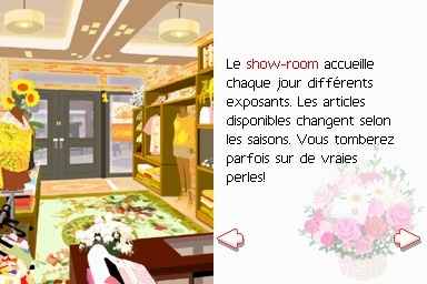 La Maison du Style - sources Nintendo